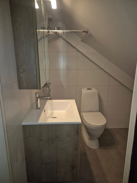 Modern bathroom with white sink, chrome faucet, toilet, and glass shower enclosure under sloped ceiling